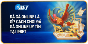 Đá Gà Online Là Gì? Cách Chơi Đá Gà Online Uy Tín Tại i9bet