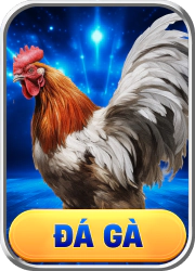 da-ga-i9bet